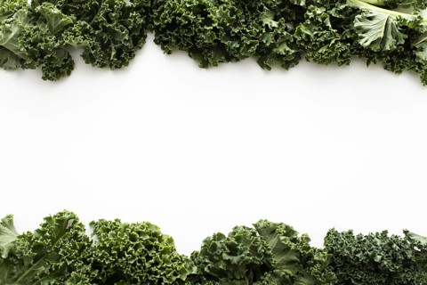 Top view kale salad with copy space. Resolution and high quality beautiful photo