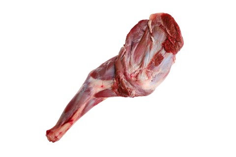 Raw doe shoulder chuck isolated on white