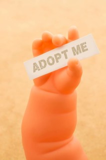 Toy doll hand holding paper with ADOPT ME wording