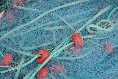 Fishing net
