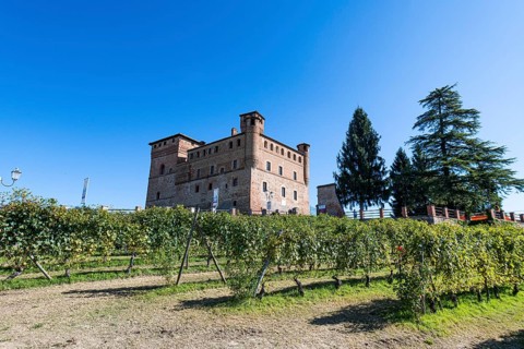 Castle of Grinzane Cavour