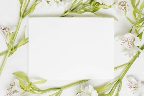 White blank placard surrounded with