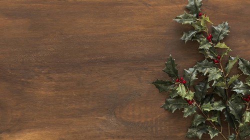Green holly branches brown table