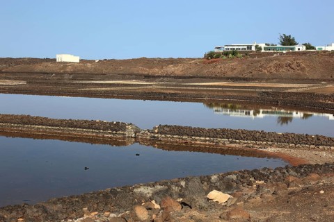 The Salinas de Janubio
