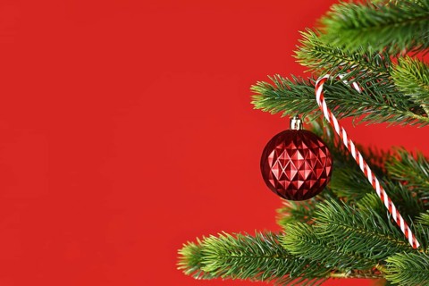 Decorated Christmas tree with red tree ornament bauble and candy cane on side of red background with copy space