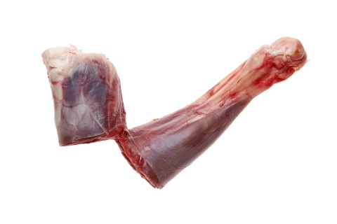 Raw fresh deer shank isolated on white background