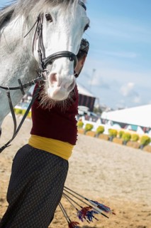 Portrait of dark palomino horse. Horse head with long mane in profile