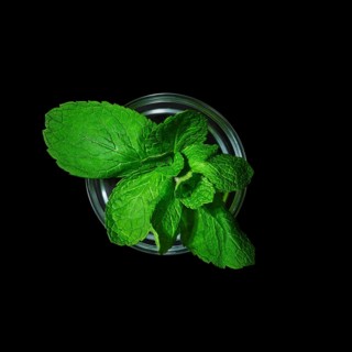Top view of pot with mint isolated on black