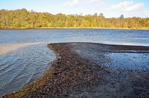 Nature reserve