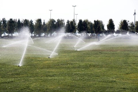 Lawn water sprinkler spraying water over grass in garden