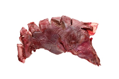 Raw fresh deer ribs isolated on white background
