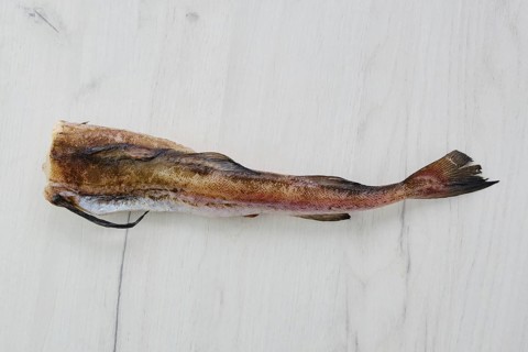 Frozen raw pollock carcass on wooden background