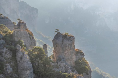 Landscape of a wild and preserved valley