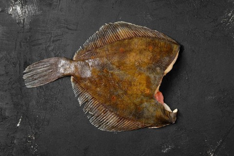 Frozen flounder without head on black background
