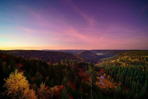 View from the Ellbachseeblick viewing platform
