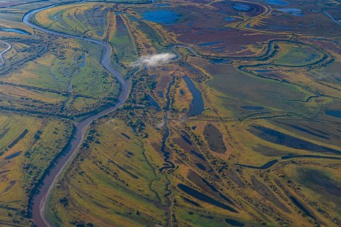 Aerial of the Taiga near