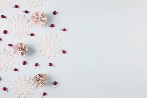 Collection paper snowflakes snags berries