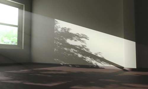 Tree shadows inside a house. Resolution and high quality beautiful photo