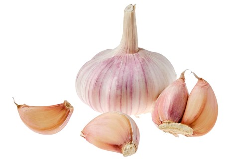 Fresh garlic with segments isolated on white background