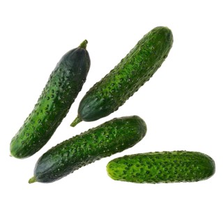 Top view of fresh spring cucumber isolated on white background
