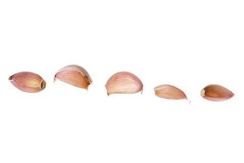 Cloves of garlic isolated on white background