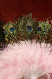 Beautiful bird feathers for decorative purposes