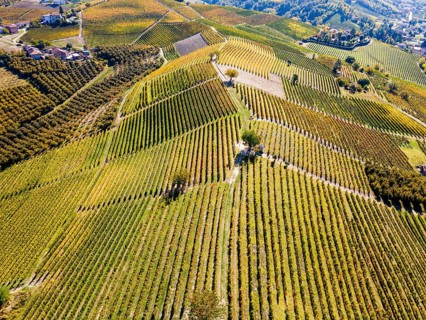 Aerials of the wineyards around Castle of Grinzane Cavour
