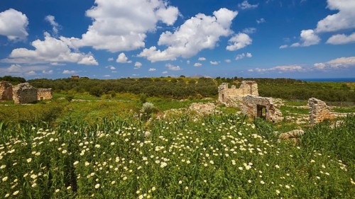 Aptera