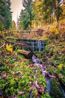 Long exposure of a small stream with a small waterfall in the Schoenjungferngrund in the Erzgebirge below the Fichtelberg