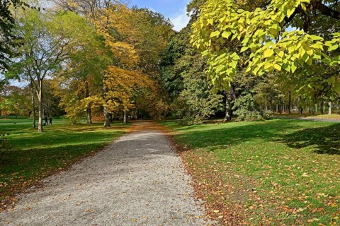 Deciduous trees in the Georgengarten