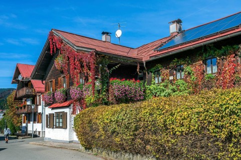 Wooden house with floral decoration and vegetation of widem vine