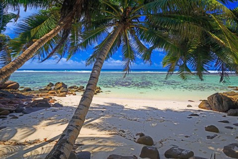 Dream beach Anse Baleine
