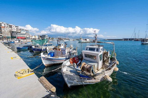 Fishing boats in the harbour