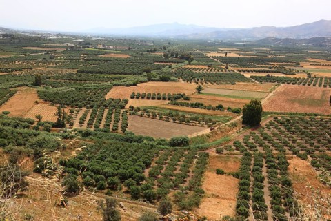 View over the Mesara plain