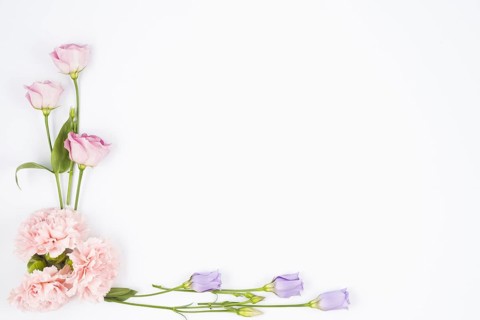 Pale flowers framing corner