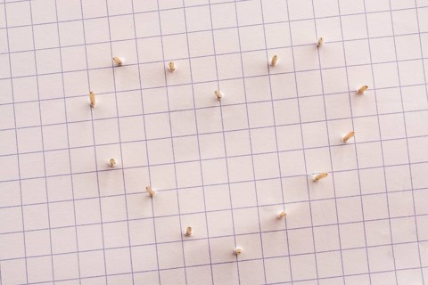Nails make hole on paper forming a heart shape