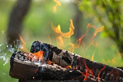 Close up view of burning firewood in the fire outdoor