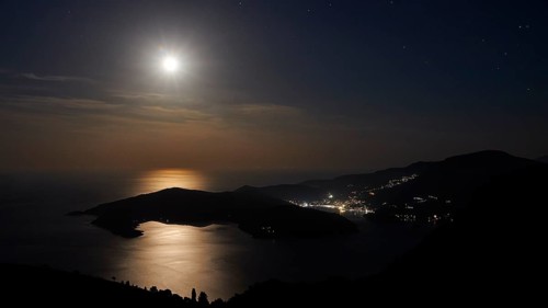 Night shot