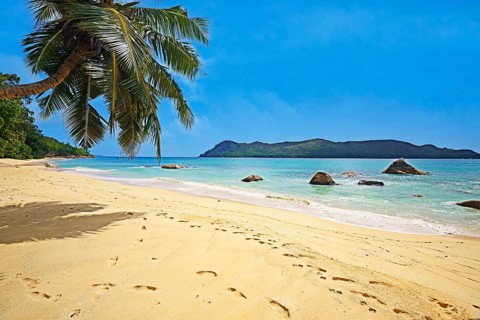 Beach and palm trees at Anse Boudin