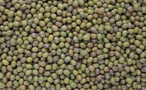 Mung bean