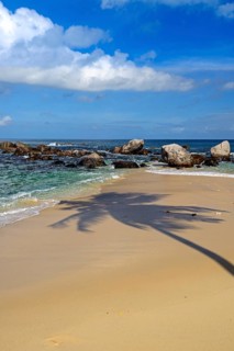 Dream beach Glacis Beach in the evening with shade of a coconut palm