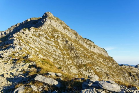 Schafreuter