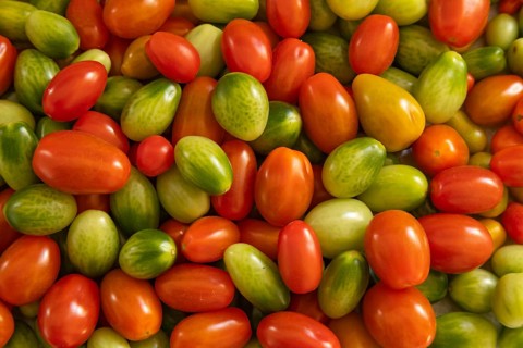 Tomato