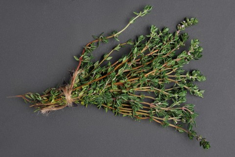 Bunch of thyme on black background