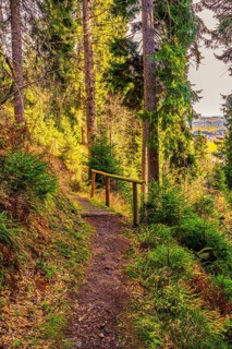 Hiking trail in the Ore Mountains below the Fichtelberg