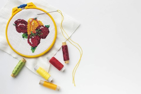 Fruit sewed design with sewing threads and copy space