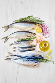 World food day concept. Seafood day. Composition with fresh herring