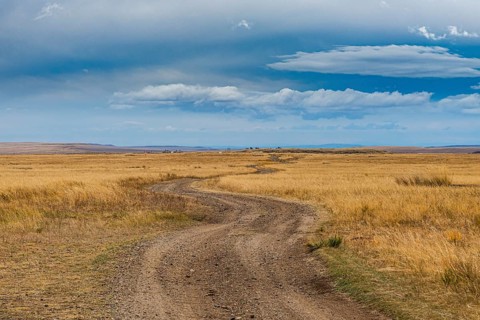 Steppe scenery