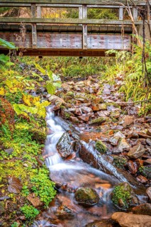 Long exposure of a small stream in the Schoenjungferngrund in the Ore Mountains below the Fichtelberg