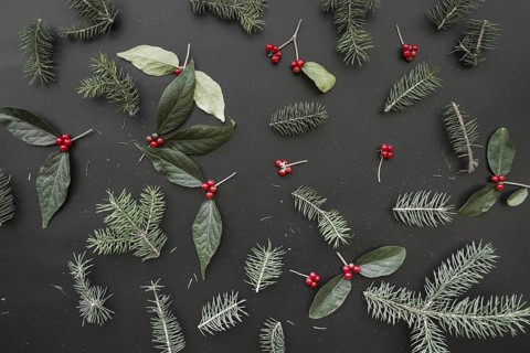 Christmas composition of green branches